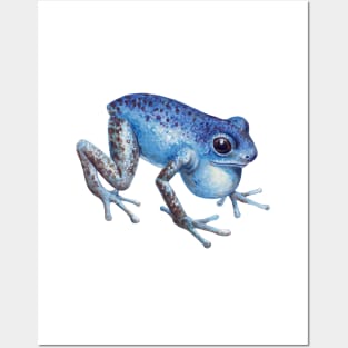 Dart frog Posters and Art